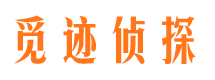 细河市私人侦探